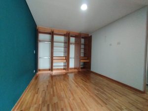 foto_104782_901271444_8055362639_ss