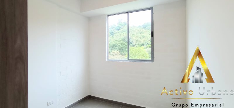 foto_104782_901271444_8064162995_ss