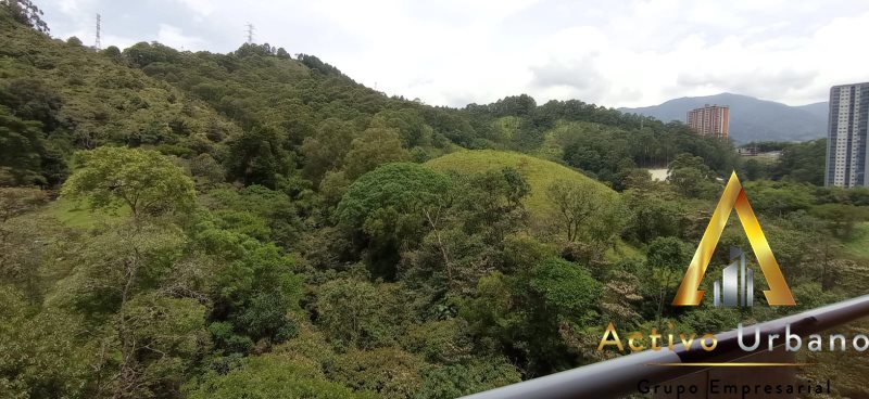 foto_104782_901271444_8076257002_ss