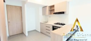 foto_104782_901271444_8079858179_ss