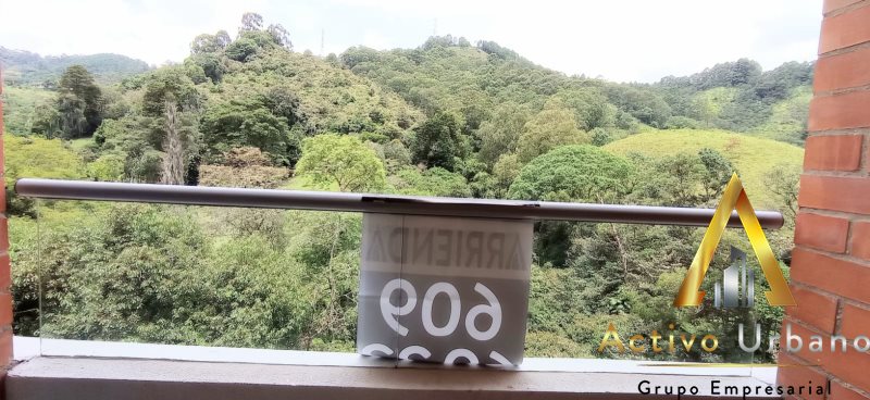 foto_104782_901271444_8080257693_ss