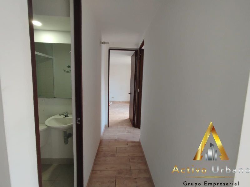 foto_104782_901271444_8172296734_ss