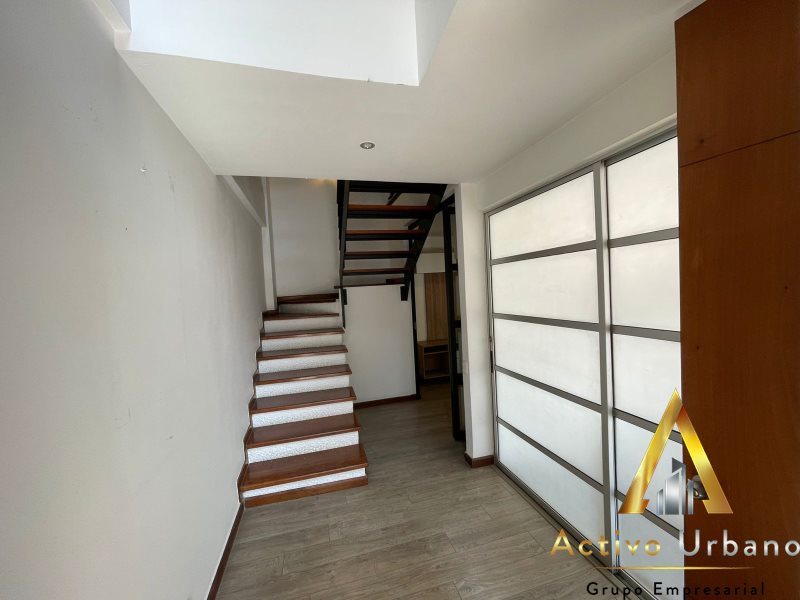 foto_104782_901271444_8244336242_ss