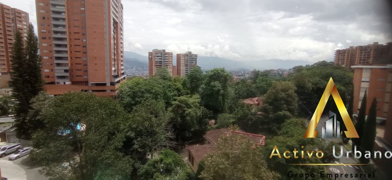 foto_104782_901271444_8256509444_ss