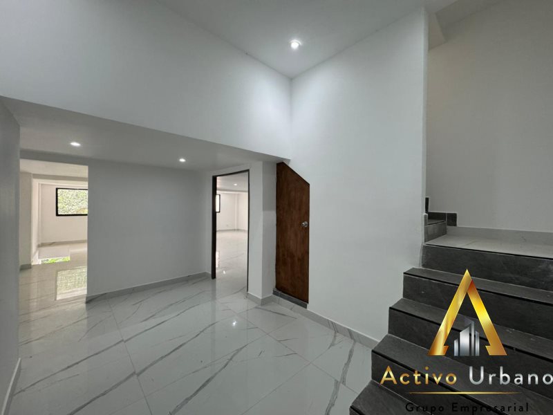 foto_104782_901271444_8257828777_ss