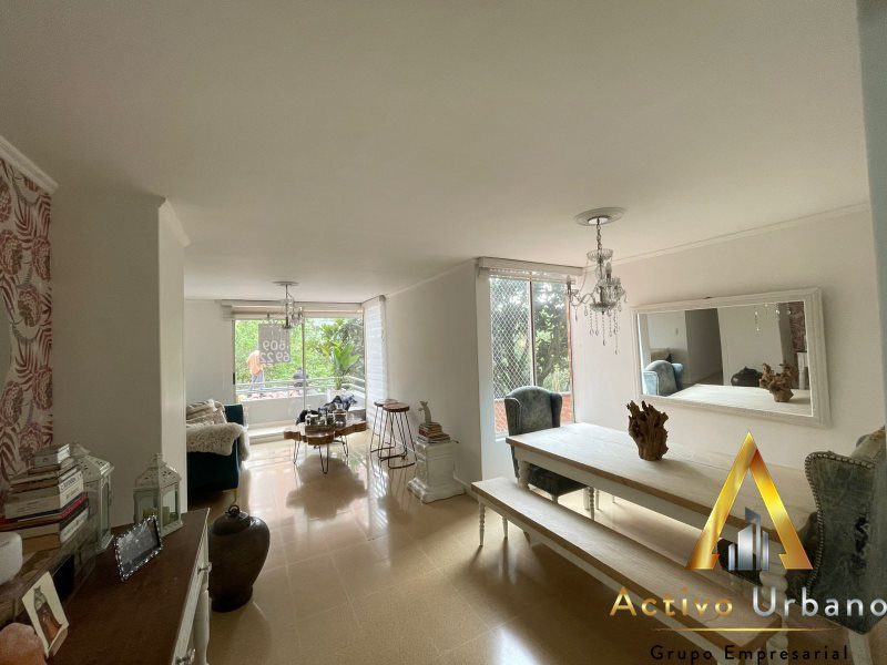 foto_104782_901271444_8315628214_ss