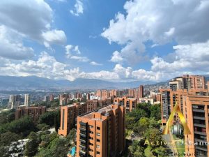 foto_104782_901271444_8319773925_ss