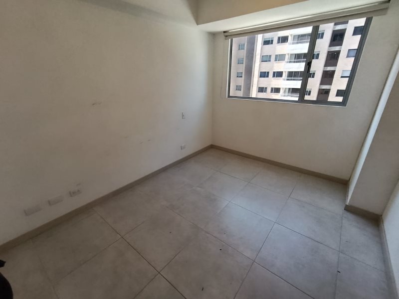 foto_104782_901271444_8529487605_ss