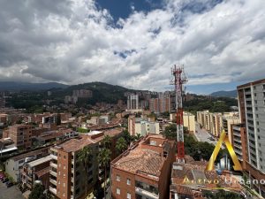 foto_104782_901271444_8542612065_ss