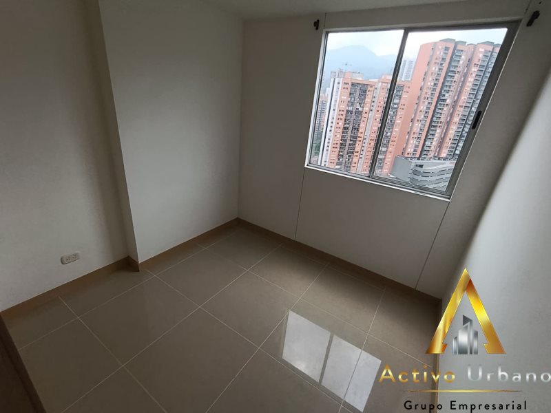 foto_104782_901271444_8601434019_ss