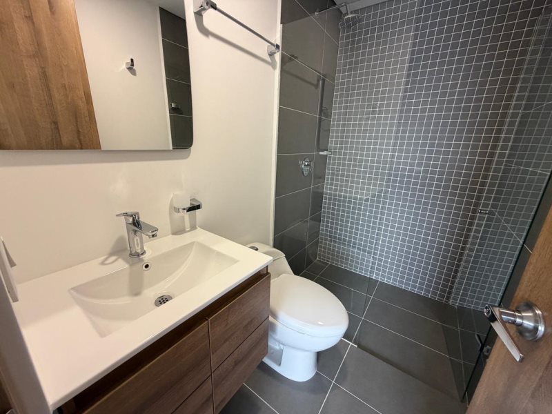 foto_104782_901271444_8707250255_ss