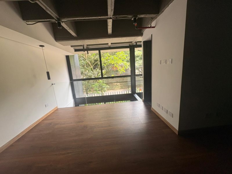 foto_104782_901271444_8709282983_ss