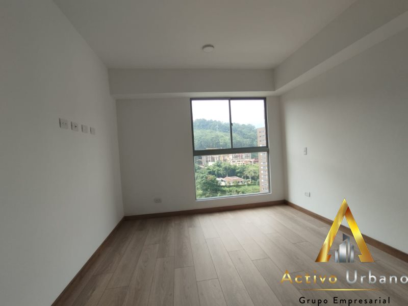 foto_104782_901271444_8765260172_ss