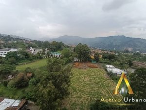 foto_104782_901271444_8793827814_ss