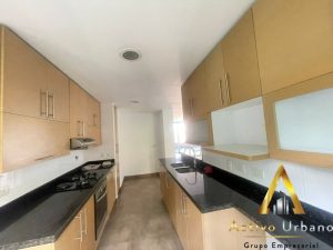 foto_104782_901271444_8806874602_ss