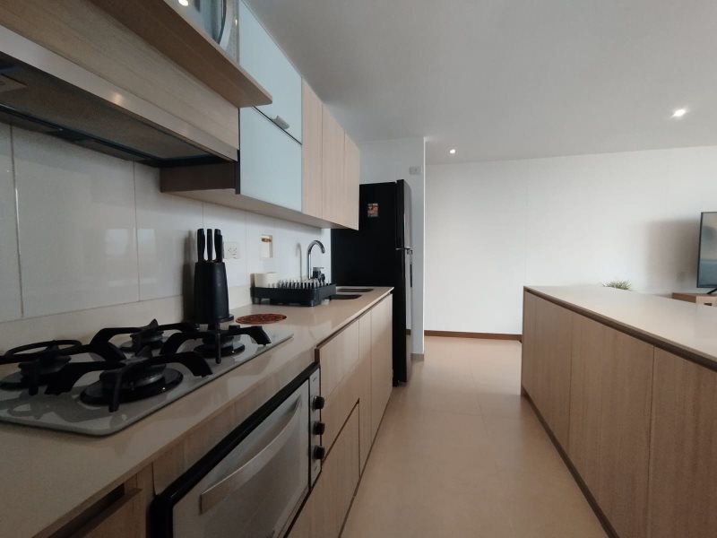 foto_104782_901271444_8813992524_ss