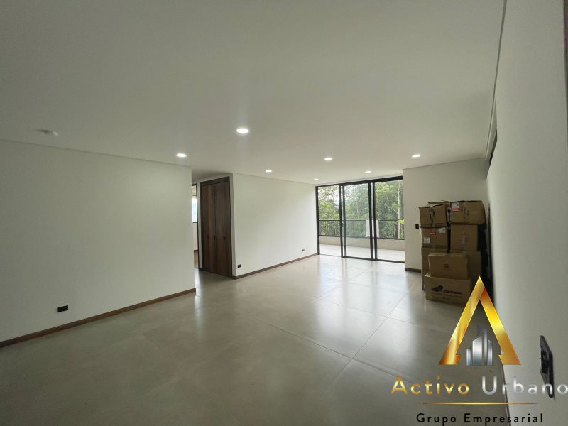 foto_104782_901271444_8929768724_ss