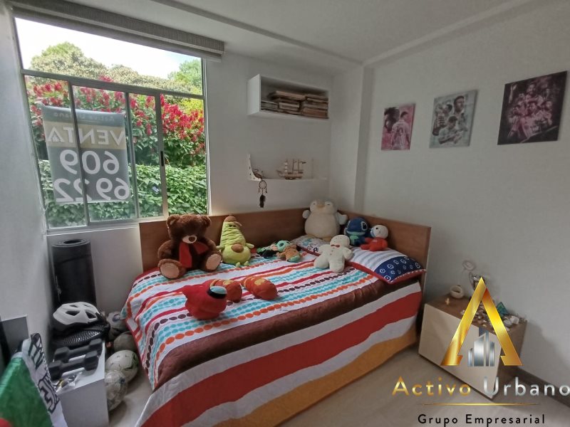 foto_104782_901271444_8943799382_ss