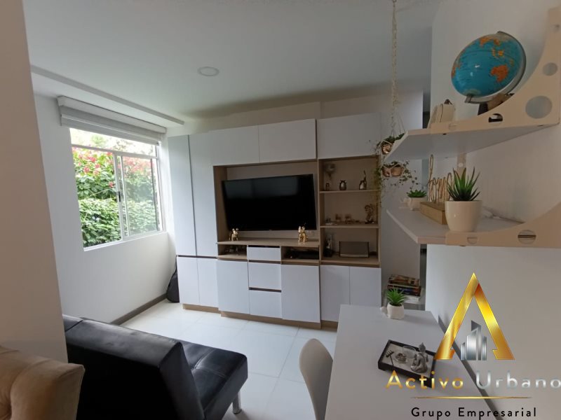 foto_104782_901271444_8968830442_ss