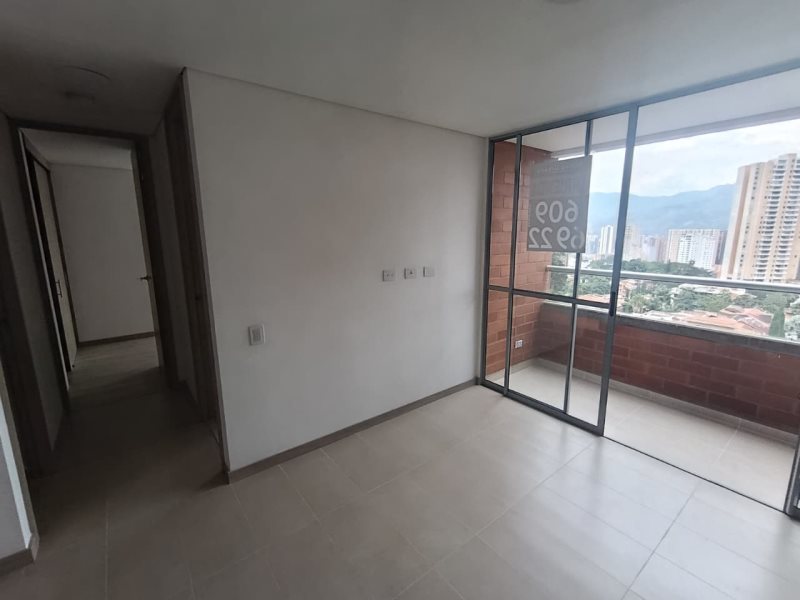 foto_104782_901271444_8983058475_ss