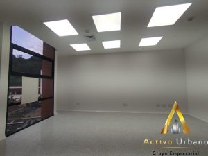 foto_104782_901271444_9029776452_ss