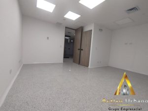 foto_104782_901271444_9029791578_ss