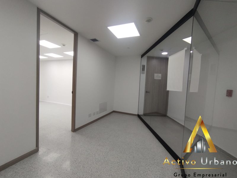 foto_104782_901271444_9043926334_ss