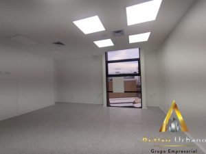 foto_104782_901271444_9045144771_ss