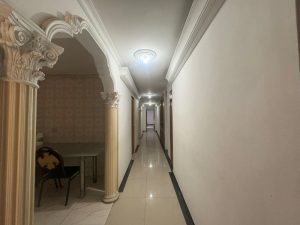 foto_104782_901271444_9069041657_ss