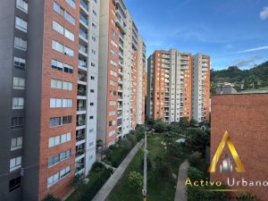 foto_104782_901271444_9080625530_ss