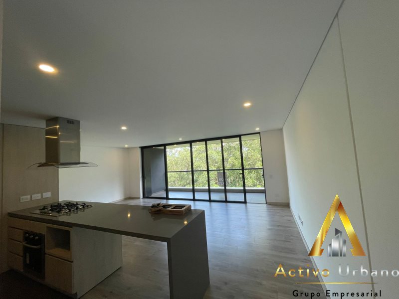 foto_104782_901271444_9131358826_ss