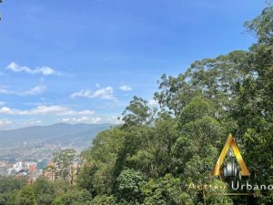 foto_104782_901271444_9149231793_ss