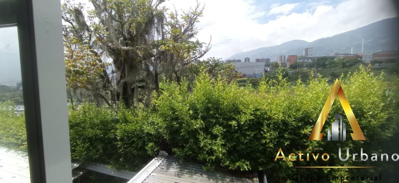 foto_104782_901271444_9193731281_ss