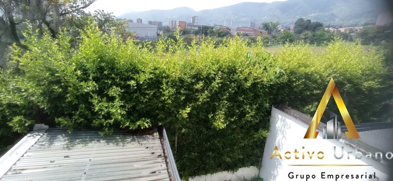 foto_104782_901271444_9206695404_ss