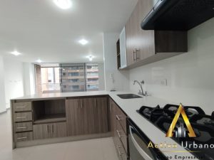 foto_104782_901271444_9349373603_ss