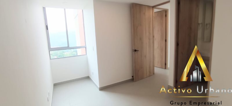 foto_104782_901271444_9469687871_ss