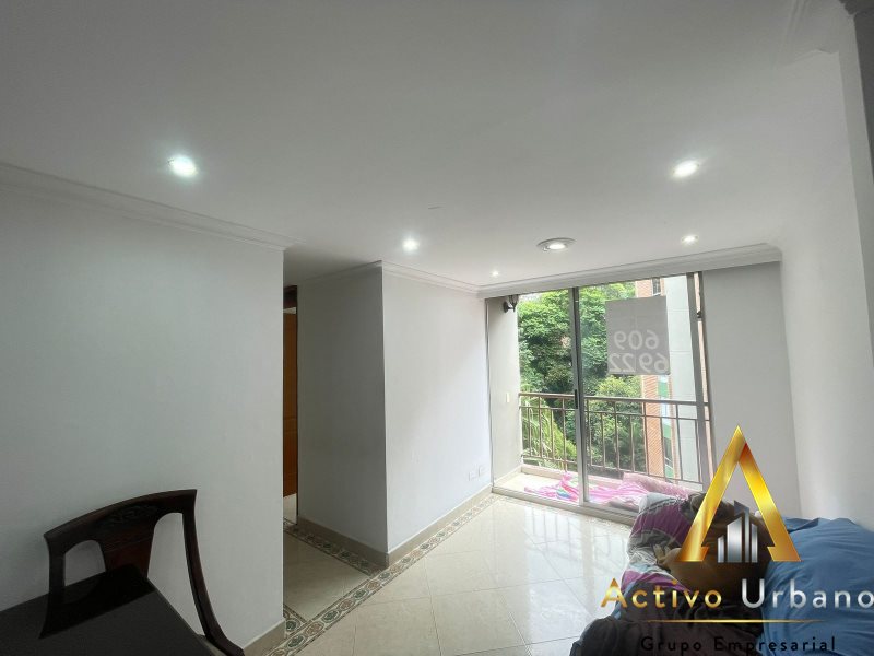 foto_104782_901271444_9479207752_ss