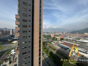 foto_104782_901271444_9513542160_ss