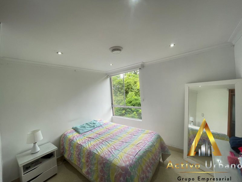 foto_104782_901271444_9514302566_ss