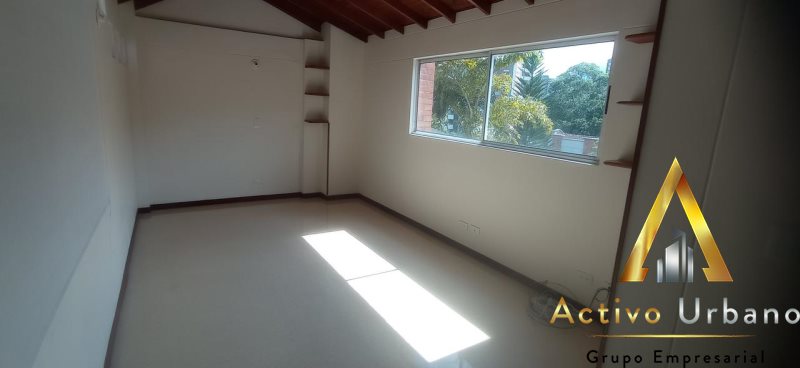 foto_104782_901271444_9614901863_ss