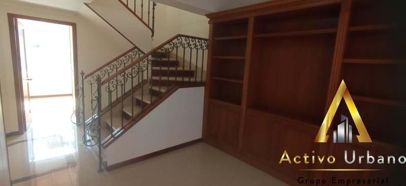 foto_104782_901271444_9617194186_ss