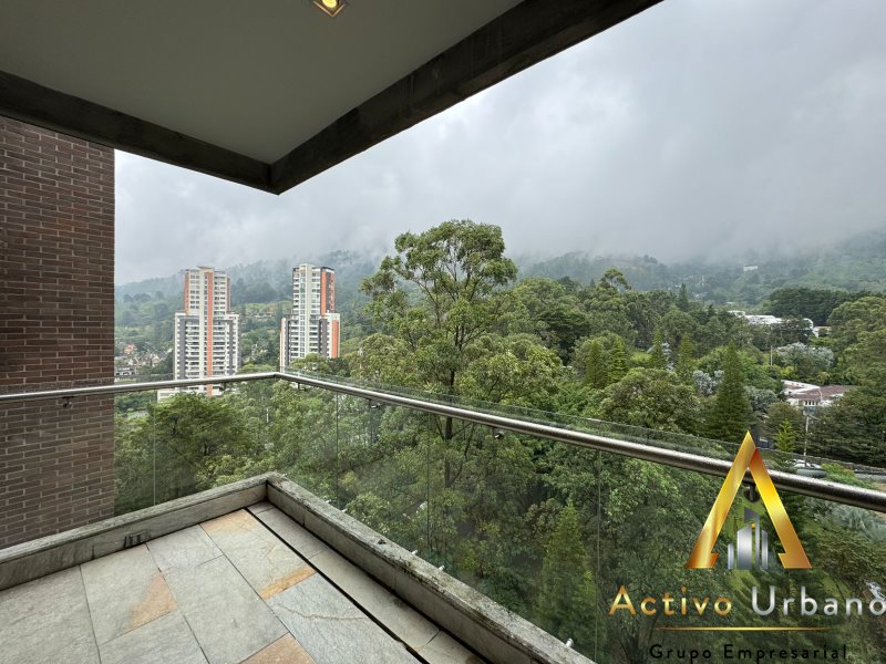 foto_104782_901271444_9727075868_ss