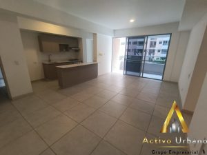 foto_104782_901271444_9737787458_ss