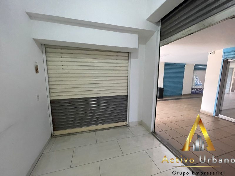 foto_104782_901271444_9769124876_ss