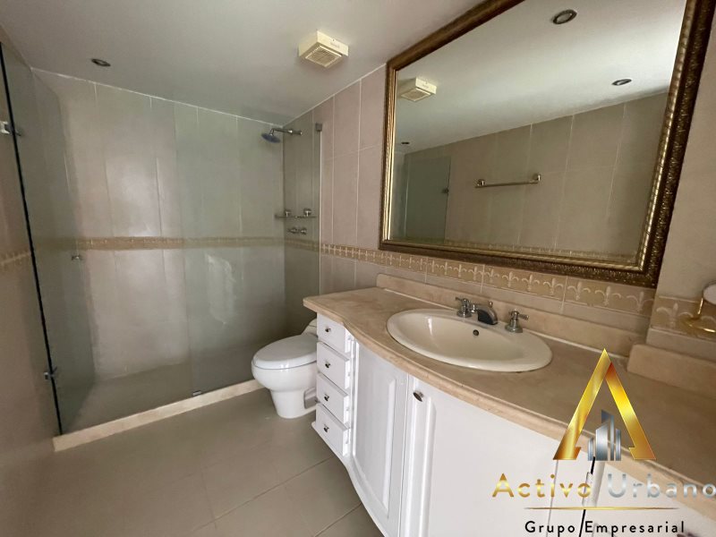 foto_104782_901271444_9777340697_ss