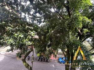 foto_104782_901271444_9918099364_ss