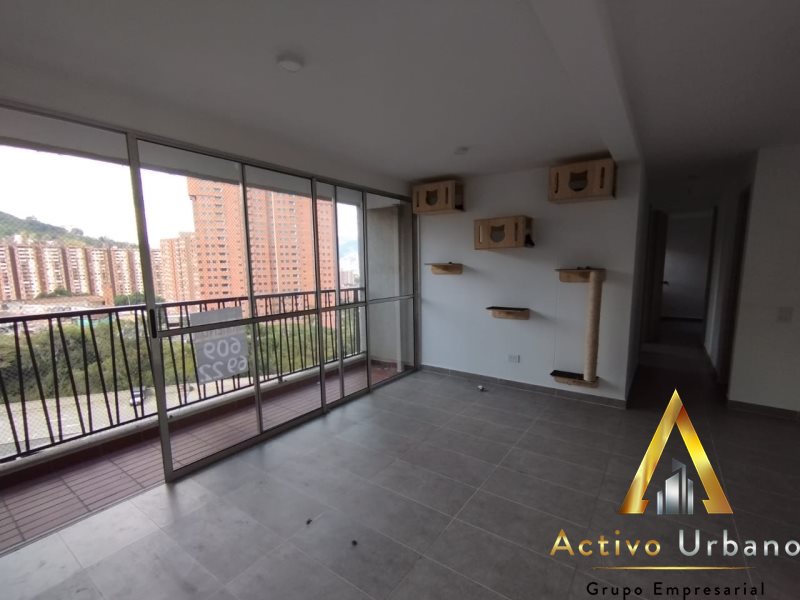 foto_32721_901271444_1732206164_ss