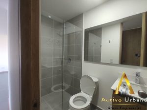 foto_32721_901271444_8135453035_ss