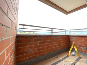 foto_32721_901271444_8187547023_ss