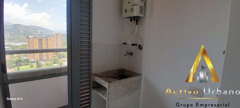 foto_104581_901271444_3339580081_ss